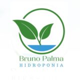 Bruno Palma Hidroponia 🍃🍓